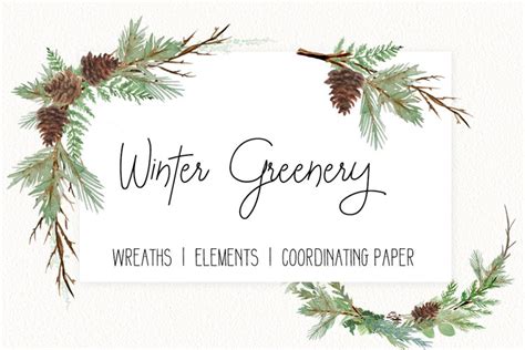 Winter Greenery Watercolor clip art - PNG format
