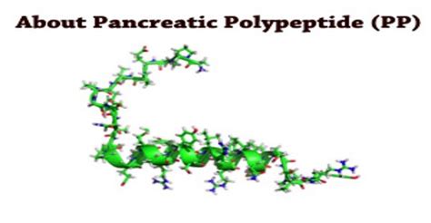 About Pancreatic Polypeptide (PP) - Assignment Point