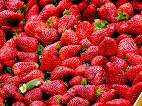 6 Secrets for Your Best Strawberry Harvest Every Year - Garden Beds