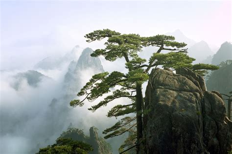 Huangshan National Park: The Complete Guide