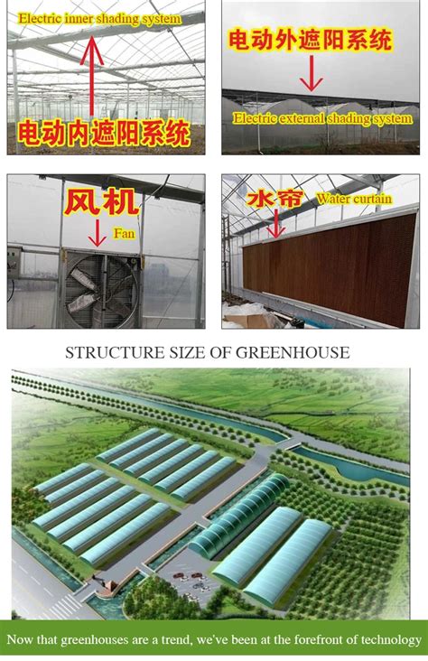 Greenhouse Plastic Sheet/agriculture Greenhouse Polycarbonate For ...