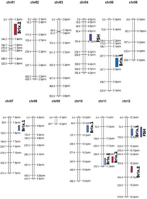 Linkage map construction on based of F 2 population derived from MR-1 ...