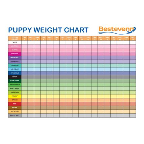 Weight Chart Sheet