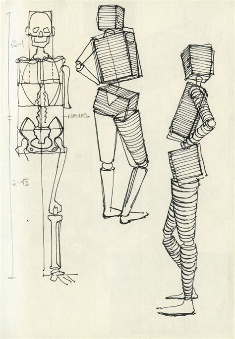 Art Reference. Sketch Sheet. Form and Stucture. Human Body Drawing, Human Anatomy Drawing, Human ...