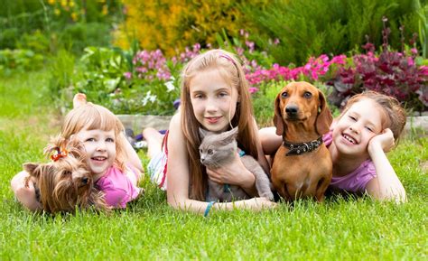 The Benefits of Children Having Pets