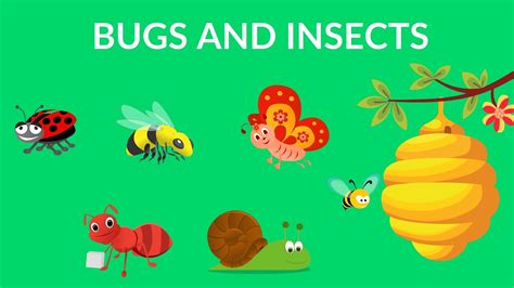 Bugs and Insects for Kindergarten, Preschool and Junior kids - YouTube