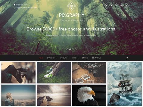 Best Free Photography WordPress Themes 2023 - Theme Freesia