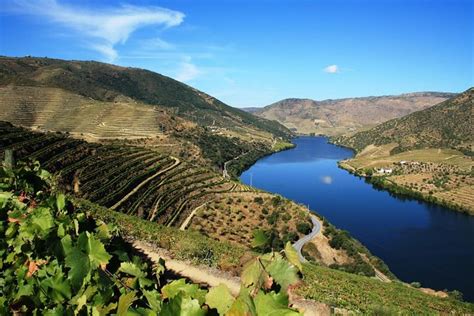 Douro Valley with Wine Tastings and Lunch from Porto 2024