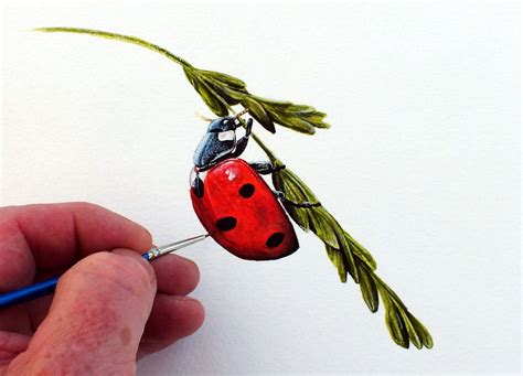 Watercolor Ladybug Painting Tutorial, Ladybird Watercolour PDF Lesson ...