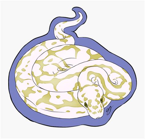 The Ball Python - Illustration , Free Transparent Clipart - ClipartKey