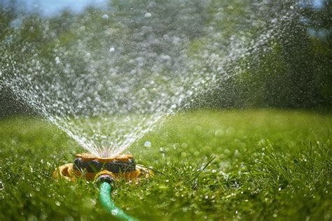 Best Lawn Sprinklers | Convenient and Easy to Use - Home Senator