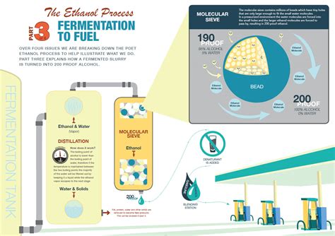 Infographics: The Ethanol Process - Vital | A news & media resource ...