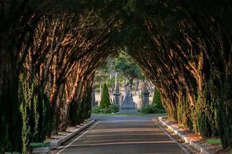 Glasnevin Cemetery: History, Tour + 2024 Info