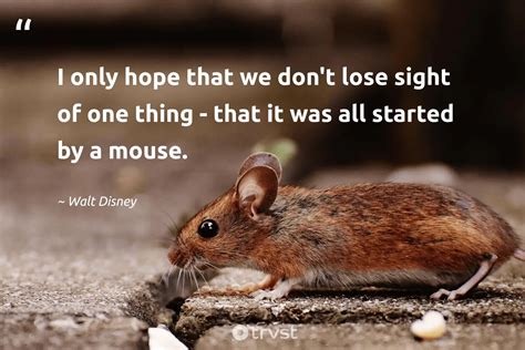 20 Mouse Quotes Full Of Little Lessons In Life