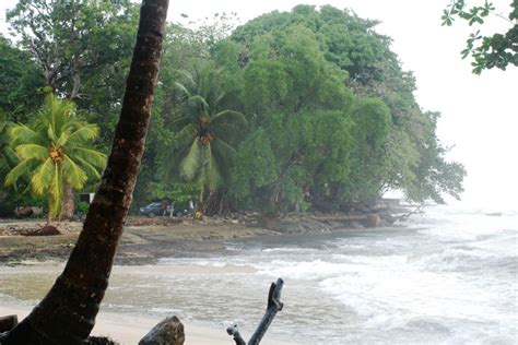 Cahuita National Park - Park Nacional Cahuita