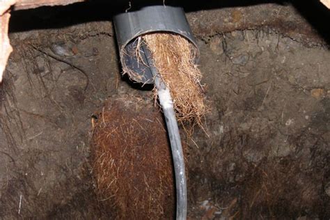 Preventing Clogged Pipes and Drains in Older Houses | Clogged pipes ...