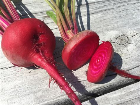 Seed Saving: How to Save Beetroot Seeds - Kaits Garden