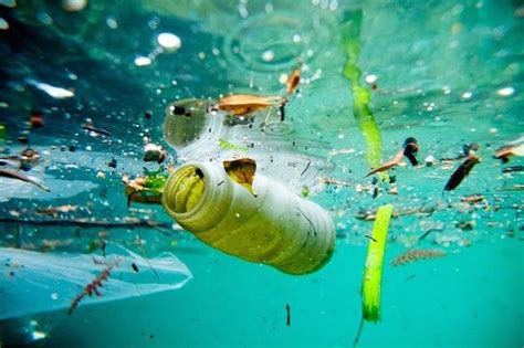 Contaminación del agua: causas, consecuencias y soluciones – Agua.org.mx