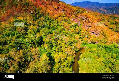 Aerial view of autumn forest Stock Photo - Alamy