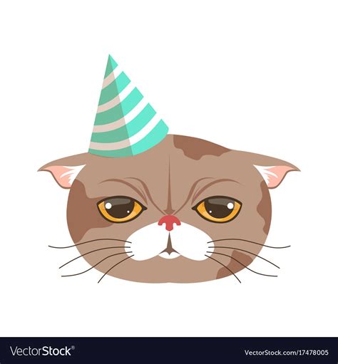 Cat With Birthday Hat