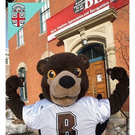 Meet the Bruno the Bear. Browns mascot. #SceneatBrown #brownuniversity #collegeadmissionsuccess ...