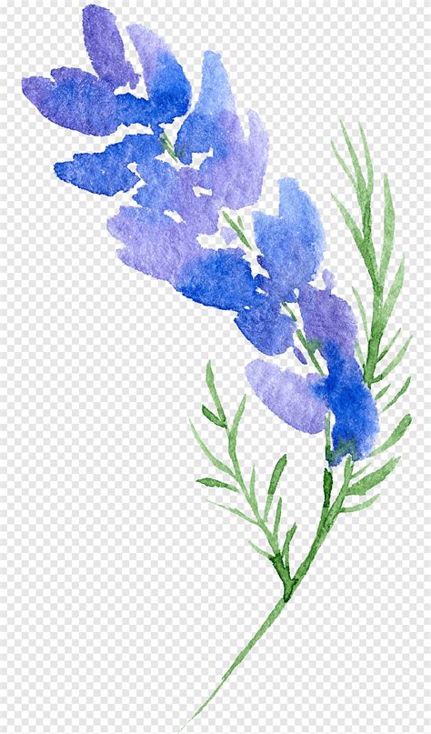 Purple and blue flowers, Floral design Flower Watercolor painting ...