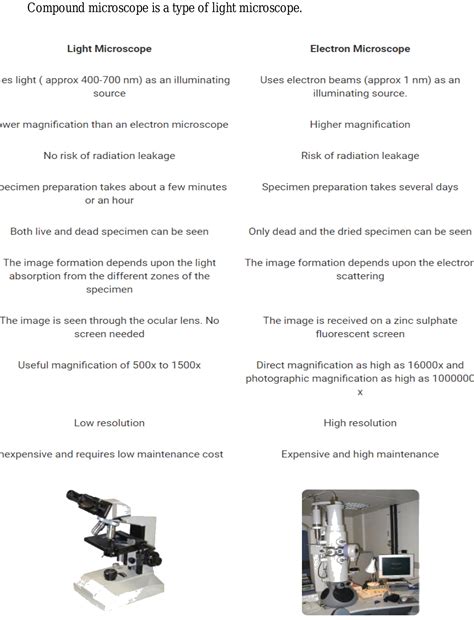 How Are Compound Light Microscopes And Electron Alike | Shelly Lighting