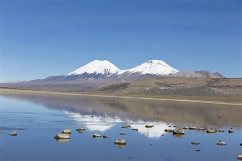 Sajama National Park, Bolivia — Stock Photo © sunsinger #84840664