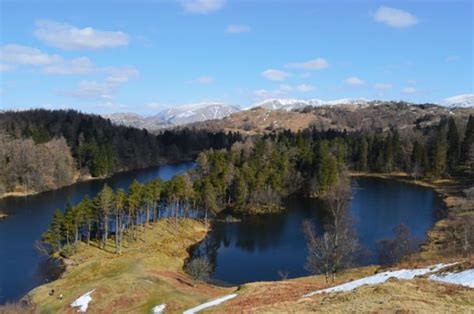 Tarn Hows – An Icon Of The Lakes | BaldHiker