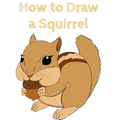 Update 137+ simple squirrel drawing - vietkidsiq.edu.vn