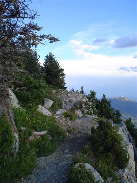 Sandia Crest Trail | collectall25 | Flickr