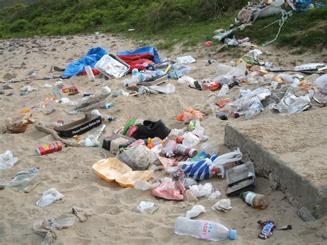 Rise in temperatures bring a huge rise in litter | National Trust Gower