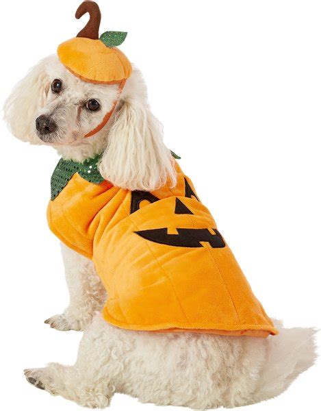 FRISCO Pumpkin Dog & Cat Costume, Medium - Chewy.com