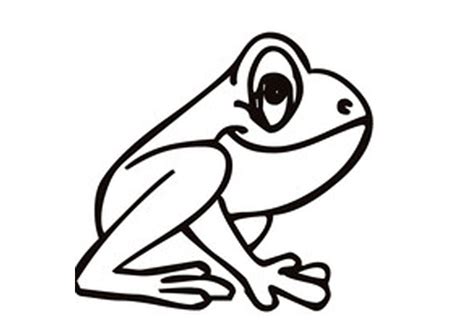 Coqui Frog Drawing | Free download on ClipArtMag