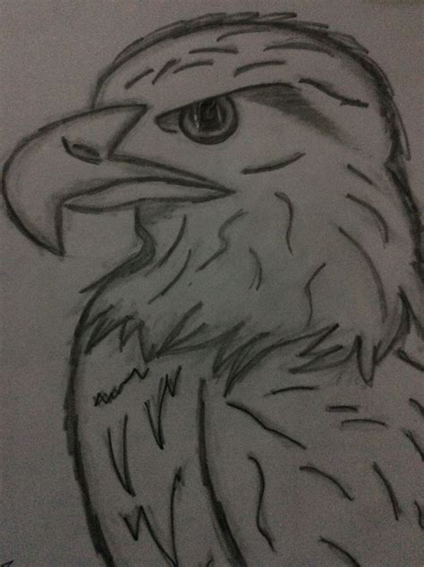 eagle pencil sketch drawing