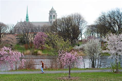 Notes from the Ironbound: Notes On A Trip To Branch Brook Park