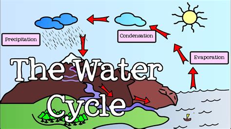 All About the Water Cycle for Kids: Introduction to the Water Cycle for Children - FreeSchool ...