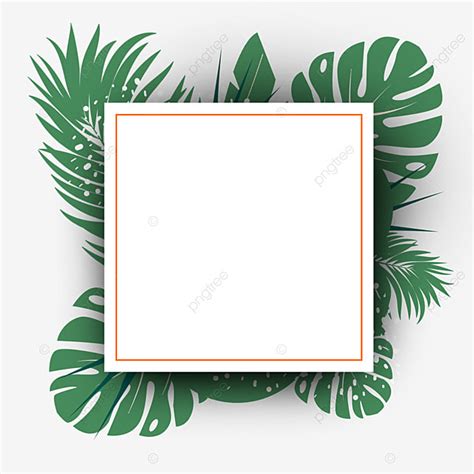 Tropical Leaves Frame White Transparent, Tropical Leaves Frame Square, Tropical, Plant, Green ...