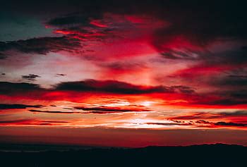 photography, tree, sunset, dawn, bird, winter, weather, cold, clouds ...