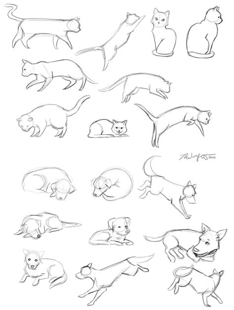 cat and dog sketches by kristaia on DeviantArt