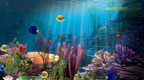 Free aquarium screensaver nfsFishInDeepWater - YouTube