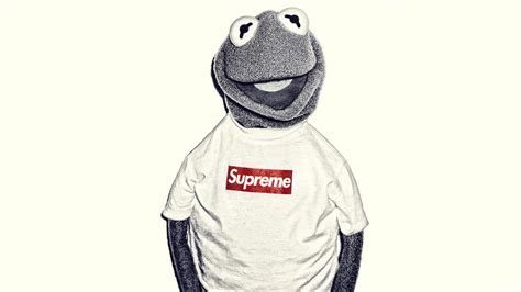 Kermit the frog illustration, supreme, Kermit the Frog HD wallpaper | Wallpaper Flare