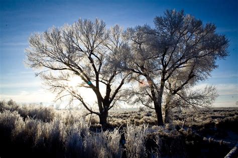 Pogonip | Pogonip in the Carson Valley, near the Carson Rive… | Flickr