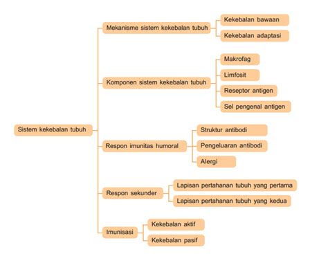 Peta Konsep Sistem Imun - Homecare24