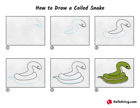 How to Draw a Coiled Snake - HelloArtsy