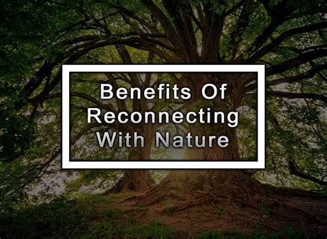 Benefits Of Reconnecting With Nature