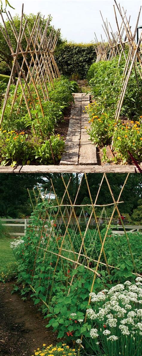 24 Easy DIY Garden Trellis Ideas & Plant Structures - A Piece of ...