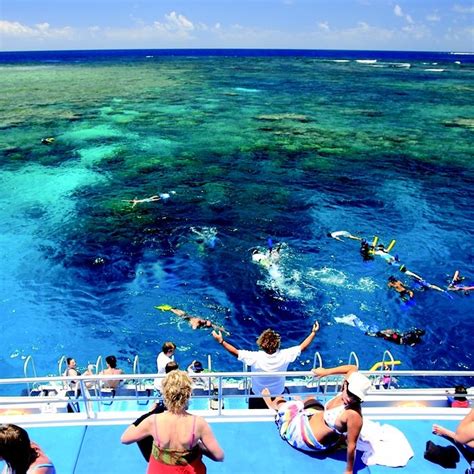 Snorkeling at Port Douglas. Photo by balboa.com.au | Travel in 2019 | Great barrier reef ...