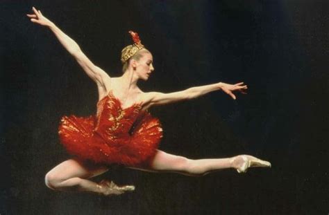 Firebird Ballet Story - Do you need a Firebird Ballet Synopsis? - Dancers Forum