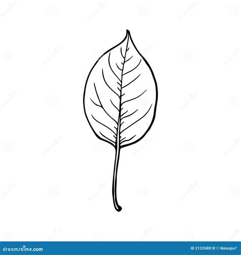 Apple Leaf. Drawing in Sketch Outline. Hand Drawn Vector Stock Vector - Illustration of minimal ...